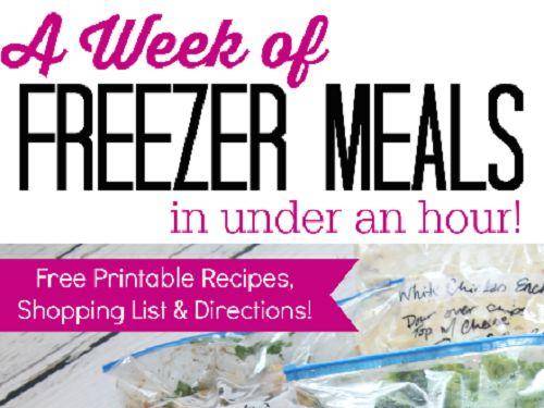 Aldi Freezer Meal Plan & FREE Meal Labels - Saving Dollars and Sense