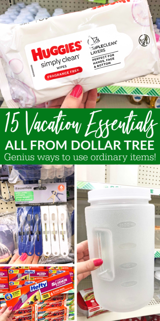 The Best Travel Items To Buy At Dollar Tree - By Land And Sea